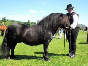 Serenteifi Rhodri Emlyn (S06-205)